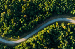 Aerial photo of empty meandering road in between forest