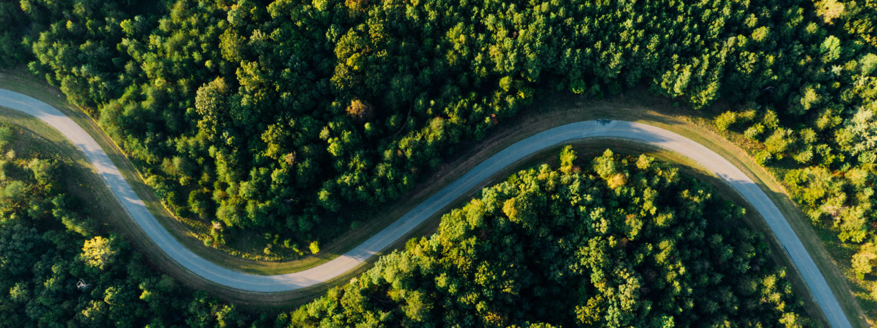 Aerial photo of empty meandering road in between forest